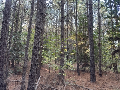 Recreational Opportunity Property in Nevada County, AR - image 17