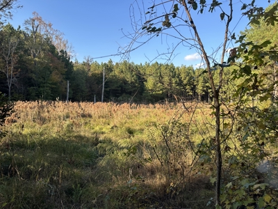 Recreational Opportunity Property in Nevada County, AR - image 18