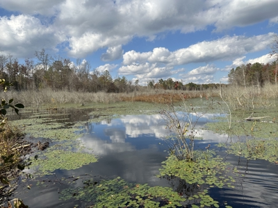 Recreational Opportunity Property in Nevada County, AR - image 30