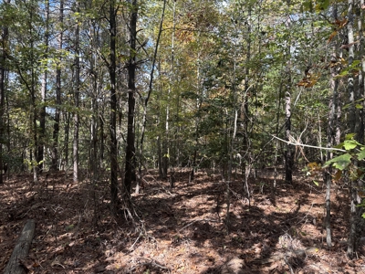 Recreational Opportunity Property in Nevada County, AR - image 29