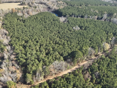 Recreational Opportunity Property in Nevada County, AR - image 3