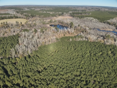 Recreational Opportunity Property in Nevada County, AR - image 9
