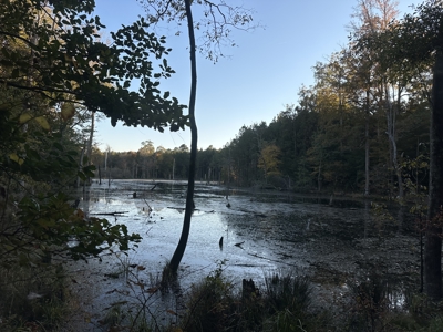 Recreational Opportunity Property in Nevada County, AR - image 23