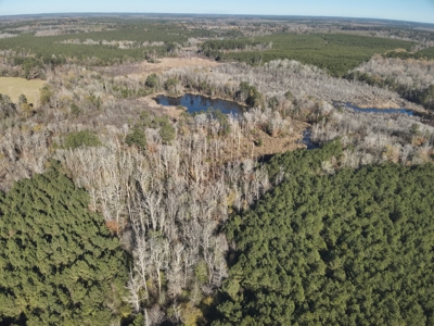Recreational Opportunity Property in Nevada County, AR - image 10