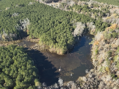 Recreational Opportunity Property in Nevada County, AR - image 12