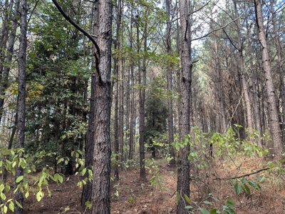 Recreational Opportunity Property in Nevada County, AR - image 27