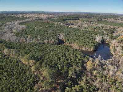 Recreational Opportunity Property in Nevada County, AR - image 11