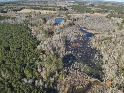 Recreational Opportunity Property in Nevada County, AR - image 5