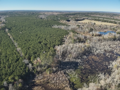 Recreational Opportunity Property in Nevada County, AR - image 6