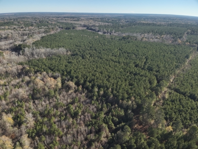 Recreational Opportunity Property in Nevada County, AR - image 14