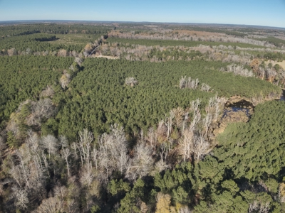 Recreational Opportunity Property in Nevada County, AR - image 15