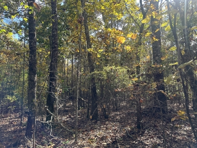Recreational Opportunity Property in Nevada County, AR - image 28