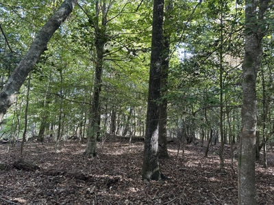 Recreational Opportunity Property in Nevada County, AR - image 32