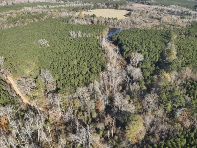Recreational Opportunity Property in Nevada County, AR - image 2