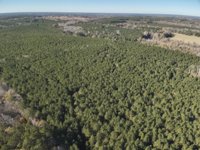 Recreational Opportunity Property in Nevada County, AR - image 7