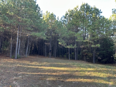 Recreational Opportunity Property in Nevada County, AR - image 20