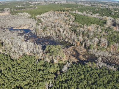 Recreational Opportunity Property in Nevada County, AR - image 4