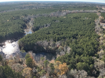 Recreational Opportunity Property in Nevada County, AR - image 13