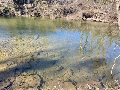 Stawberry River Frontage with 65 acres Izard Co AR - image 6