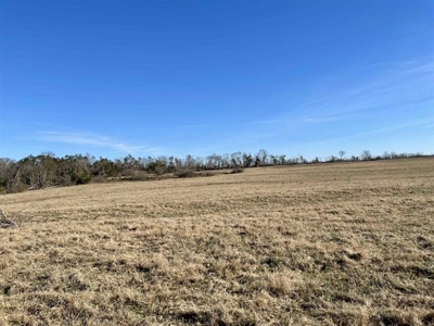 Stawberry River Frontage with 65 acres Izard Co AR - image 16