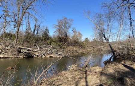 Stawberry River Frontage with 65 acres Izard Co AR - image 4