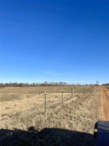 Stawberry River Frontage with 65 acres Izard Co AR - image 10