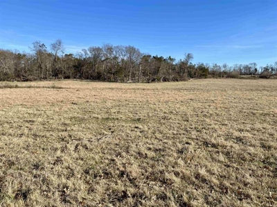 Stawberry River Frontage with 65 acres Izard Co AR - image 15
