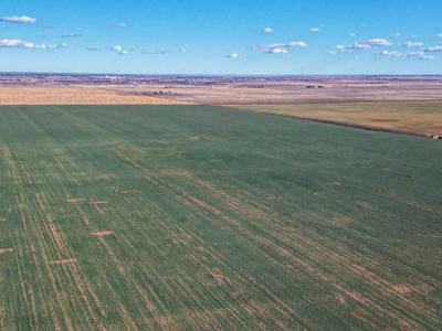 Silhan New Mexico - Texas Multi-tract Auction - image 38