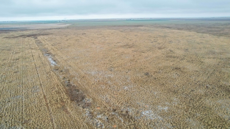 Silhan New Mexico - Texas Multi-tract Auction - image 15