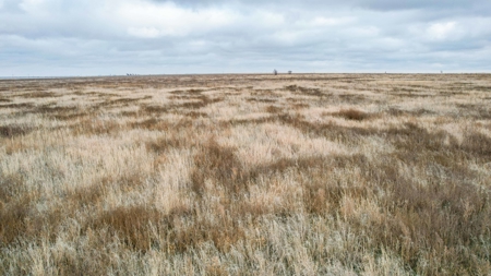 Silhan New Mexico - Texas Multi-tract Auction - image 6