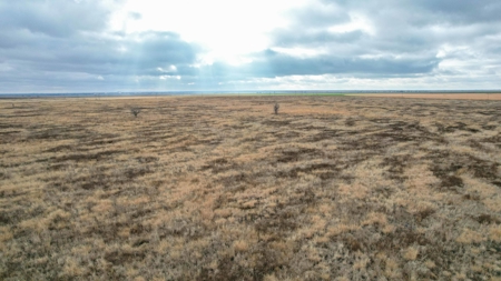 Silhan New Mexico - Texas Multi-tract Auction - image 9