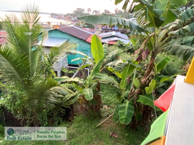 Caribbean Island Home in Bocas del Toro, Bastimentos, Panama - image 16
