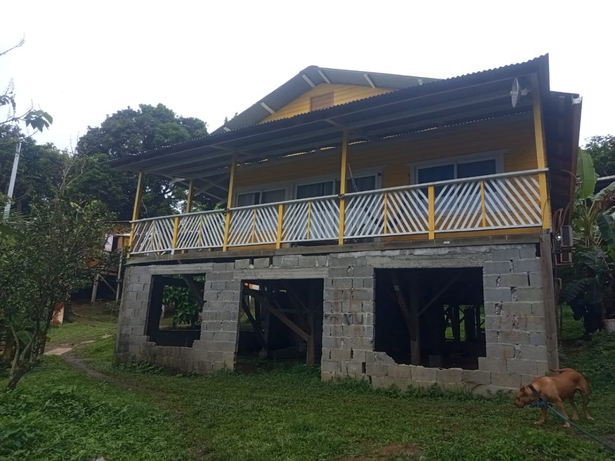 Charming Caribbean Home Near Wizard Beach — Old Bank, Isla Bastimentos - 16