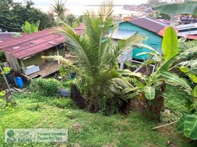 Caribbean Island Home in Bocas del Toro, Bastimentos, Panama - image 15