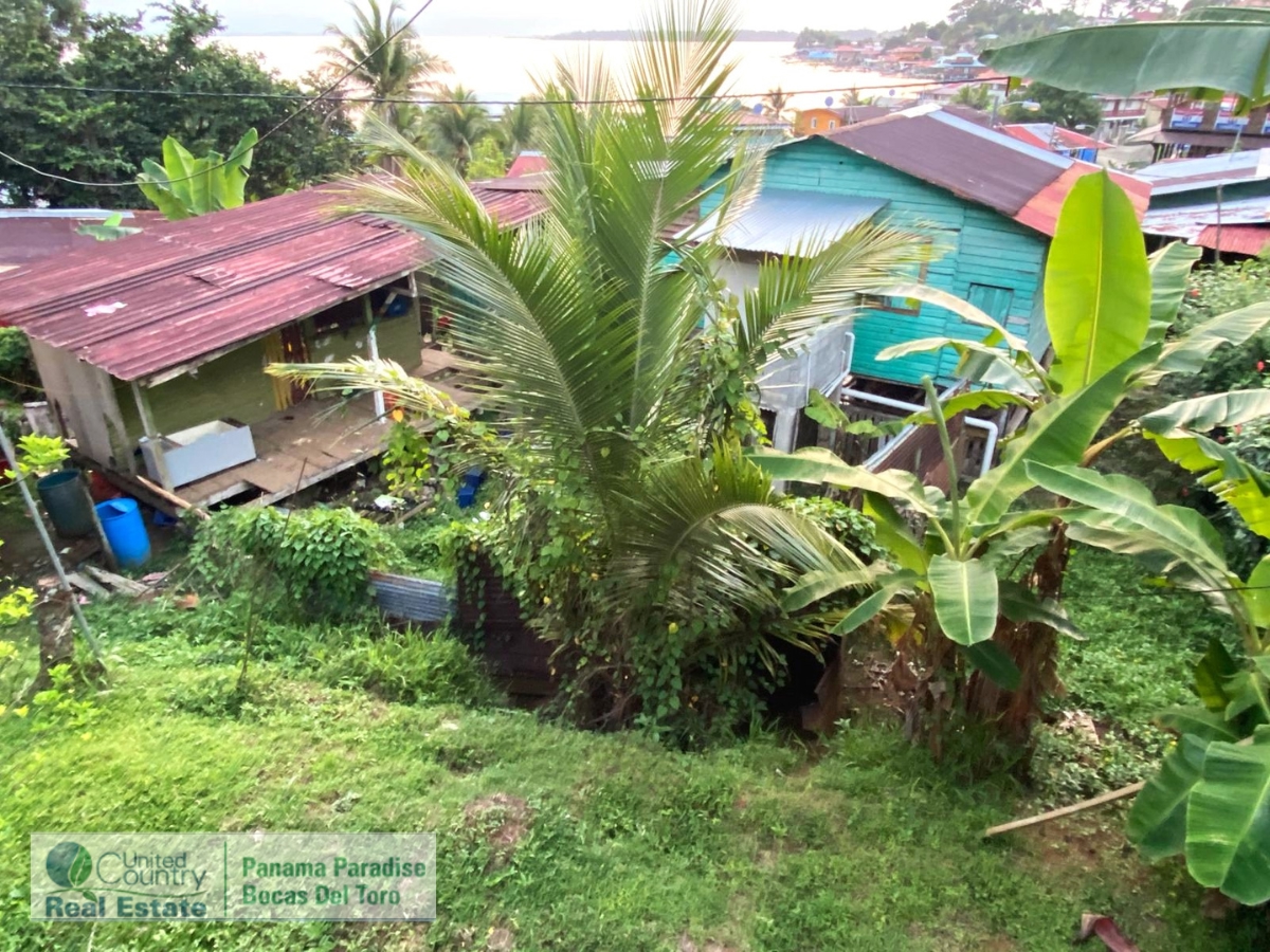 Charming Caribbean Home Near Wizard Beach — Old Bank, Isla Bastimentos - 17