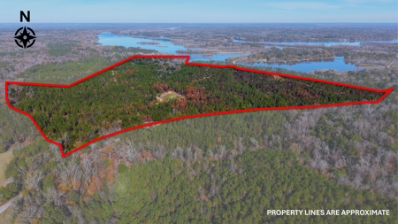 Alabama River Bluff Hunting & Timberland 183 Acres - image 1