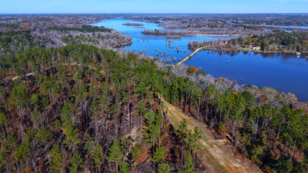 Alabama River Bluff Hunting & Timberland 183 Acres - image 41