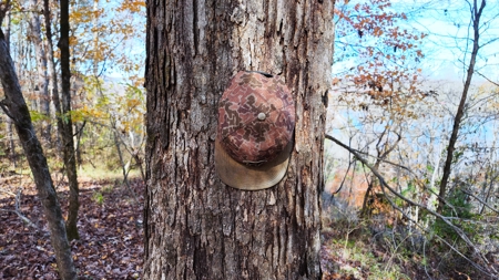 Alabama River Bluff Hunting & Timberland 183 Acres - image 3