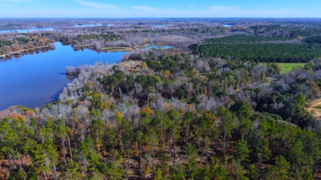 Alabama River Bluff Hunting & Timberland 183 Acres - image 40