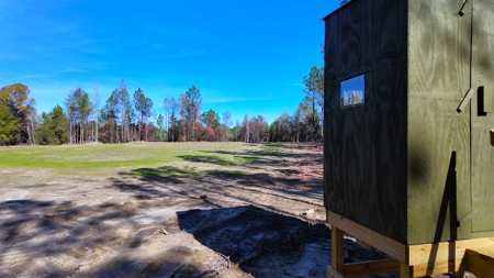 Alabama River Bluff Hunting & Timberland 183 Acres - image 25