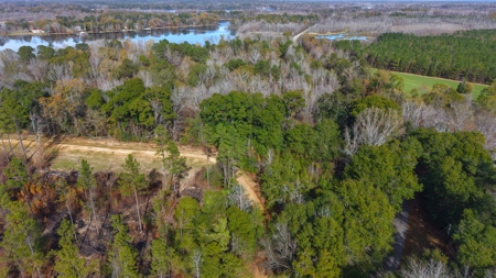 Alabama River Bluff Hunting & Timberland 183 Acres - image 22