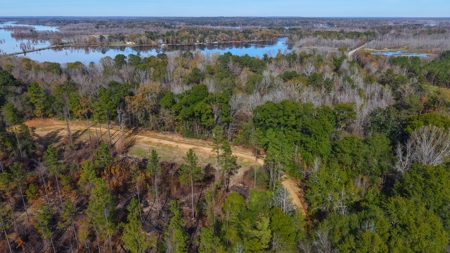 Alabama River Bluff Hunting & Timberland 183 Acres - image 21