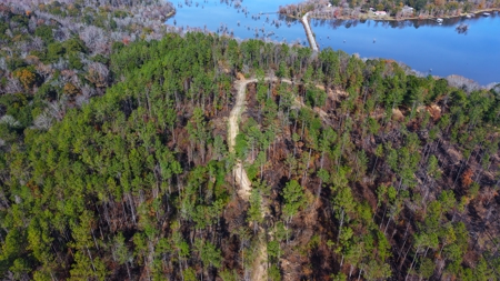 Alabama River Bluff Hunting & Timberland 183 Acres - image 28