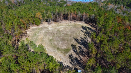 Alabama River Bluff Hunting & Timberland 183 Acres - image 33