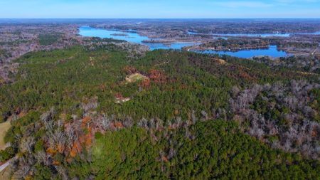 Alabama River Bluff Hunting & Timberland 183 Acres - image 39