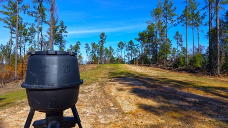 Alabama River Bluff Hunting & Timberland 183 Acres - image 46