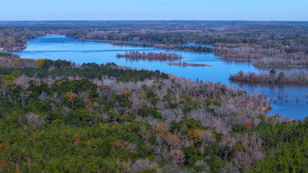 Alabama River Bluff Hunting & Timberland 183 Acres - image 37