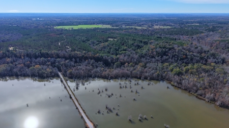 Alabama River Bluff Hunting & Timberland 183 Acres - image 29