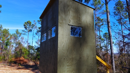 Alabama River Bluff Hunting & Timberland 183 Acres - image 45