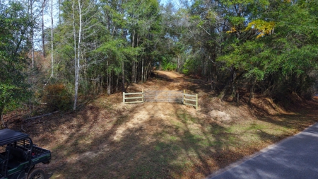Alabama River Bluff Hunting & Timberland 183 Acres - image 20